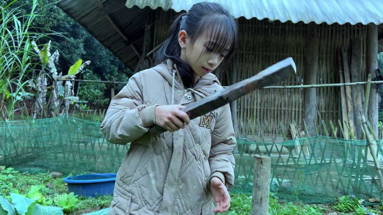 Хан проектирует шпалеры для помидоров. Заботится о курах, утках и рыбе. Дядя Дун готовит.