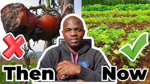 What I Would Do Differently If I Started Farming Again Today