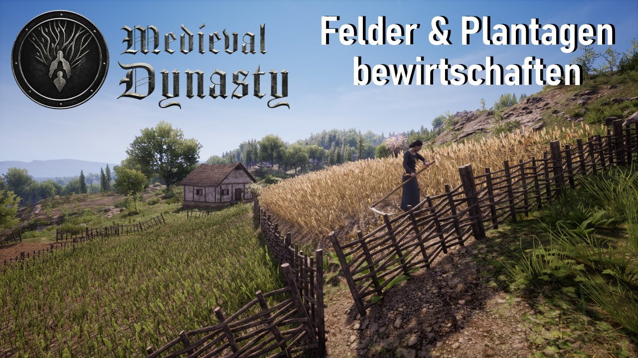 Felder und Plantagen bewirtschaften | How To Medieval Dynasty 2024 Deutsch