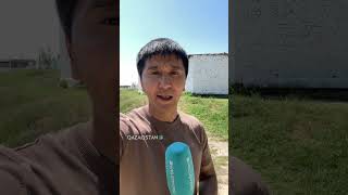 Жамбыл облысындағы мектеп оқушысының өлімі: Істің мән-жайы анықталып жатыр