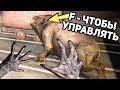 ИГРАЮ ЗА КОНТРОЛЁРА! сталкер прохождение мода игра душ эксельсиор #2