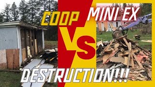 Mini excavator vs chicken coop!  Who will win this war???