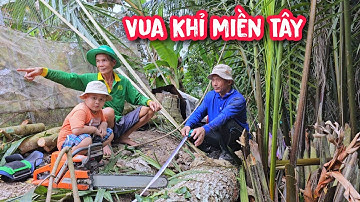 Chủ nhà thức sáng đêm không ngủ được, vì đợi Vua khỉ đến cưa hạ gốc cây D.á.i Ngựa.