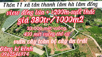 🛑 33000m2 vườn cây ăn trái , view suối thác , view đồng lúa , trang trại giá rẻ lâm đồng 0962546974