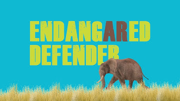 BitHacks: EndangARed Defender demo (Andrew Dimmer, Nathan Dimmer)