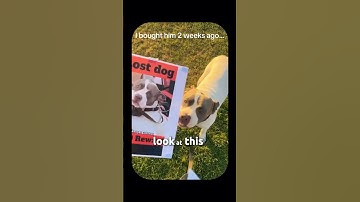 I Promise I Bought Him… #funny #hopecore #hopelesscore #relatable