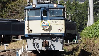【動態保存‼︎】 EF63 11 が碓氷峠鉄道文化むらを通過‼︎(?)
