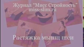 Rastyazhka Mishz Shei