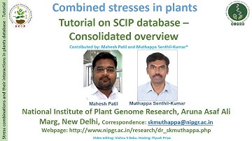 SCIPDb_39:Tutorial on SCIP database – Consolidated overview