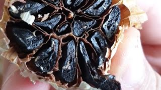 تحضير الثوم الأسود الخارق | how to make black garlic
