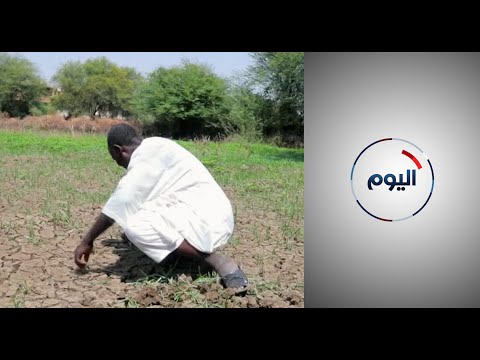 في اليوم العالمي للأغذية 40 من سكان العالم يعجزون عن تأمين غذاء صحي