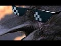 CROW mito
