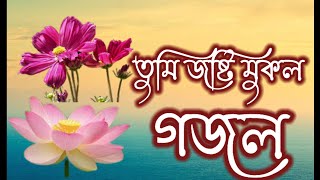 তুমি জষ্টি মুকুল সেরা গজল |হৃদয় ছোঁয়া গজল |Islamic Video |Bangla song |Islamic Gojol |-gojol