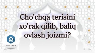 Cho'chqa terisini xo'rak qilib, baliq ovlash joizmi? | Shayx Sodiq Samarqandiy