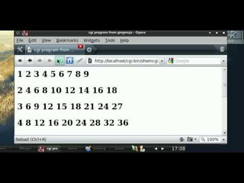 cgi/html