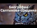 Биография Салтыкова-Щедрина