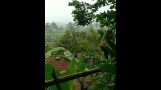 story wa lagu sunda paling sedih[30detik]