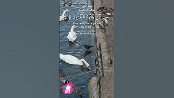 يسبحون الليل والنهار لا يفترون | سورة الأنبياء #دعاء_ورسالة Surah Al-Anbiya
