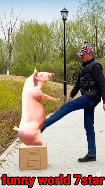 a cute girl transform in pig#shorts #youtube #funnyworld7star