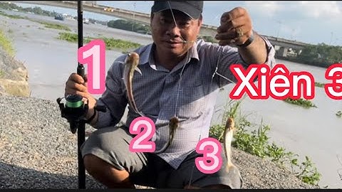 #CÂU CÁ DỨA SÔNG VÀM CỎ ĐÔNG , CÁ BỰ BỰ XIÊN 2 XIÊN 3 THIỆT LÀ ĐÃ