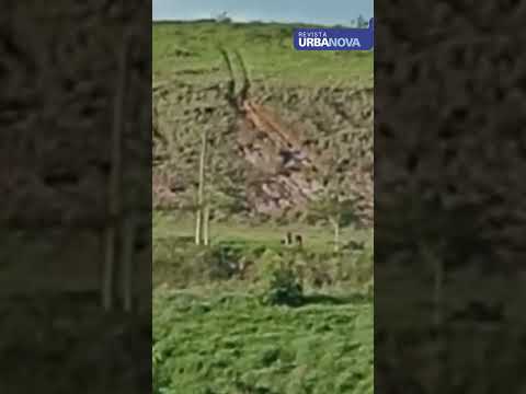 Incêndio  de grandes proporções atinge área de  mata no Urbanova