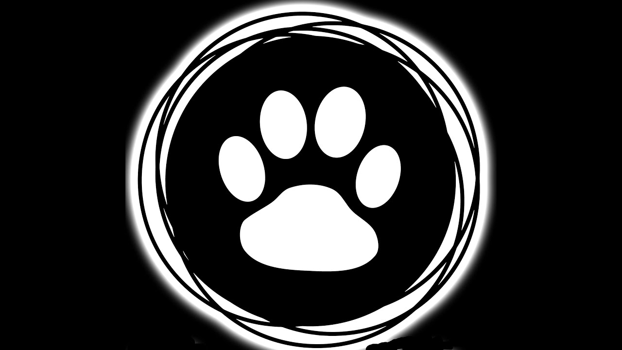 Dog Service YouTube dog-service-youtube