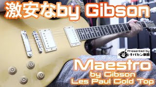 Maestro by Gibsonなのに超安いレスポール🎸Gold Topが渋い！Presented by チバカン楽器