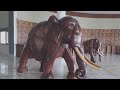 Luxury Hotel Araliya Resort and Spa at Unnawattuna, Galle, Sri Lankaa | Luxury Hotels | Resort Hotel