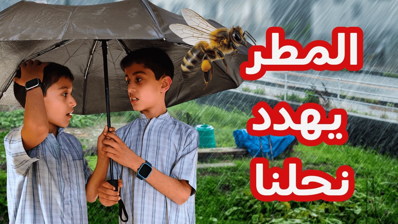 النحل في خطر بسبب الأمطار! إجراءات ضرورية | Protect Bees Rain