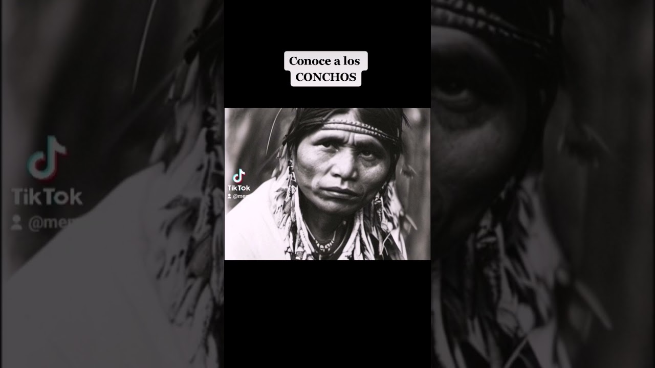Conchos 
