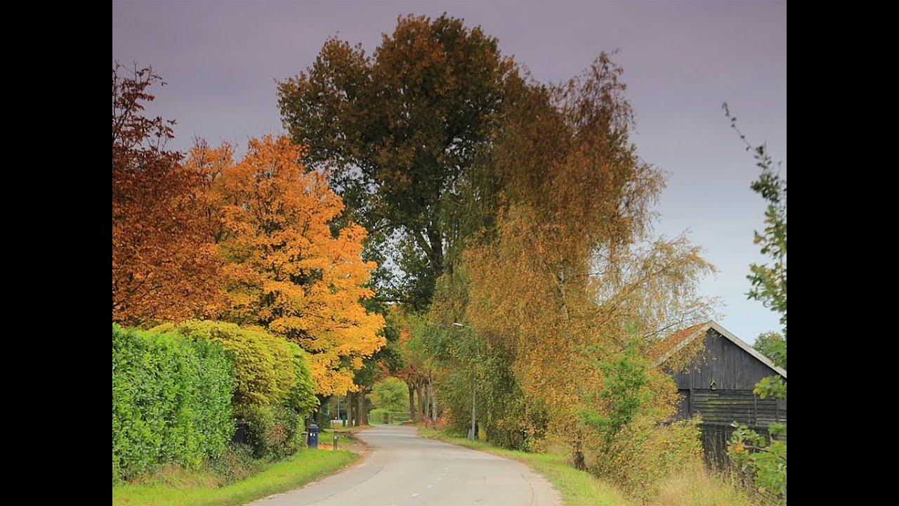 Weerbericht zaterdag: Grotendeels bewolkt
