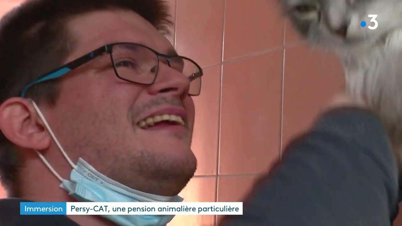 A la pension Persy-CAT, les personnes en situation de handicap prennent soin des animaux