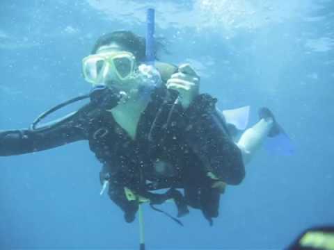 sandy scuba diving near key largo, florida - YouTube