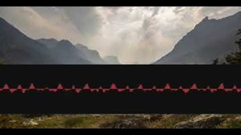 Expositiontranscribe Influences vdnacdabvp