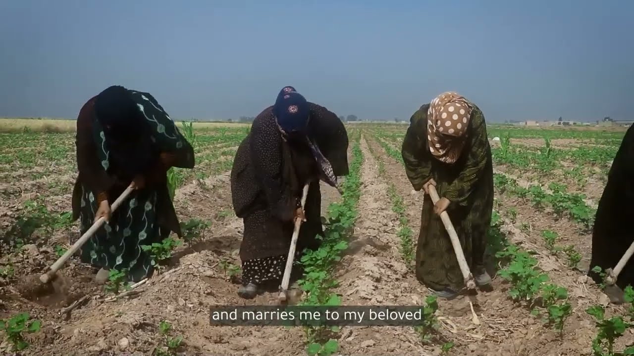 ريت القطن بالدودة (تراث سوري) - أغاني الحقول