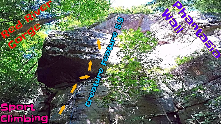 Sport Climbing "Creature Feature" 5.9 in Red River Gorge Ky at Phantasia Wall