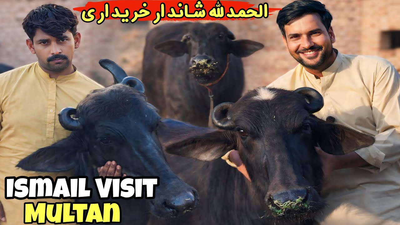 Ismail Jutt Visit Multan - YouTube