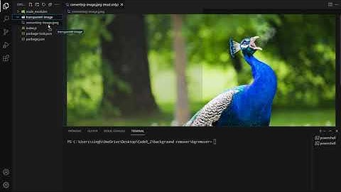 Coming soon.. Background remover using nodejs | API Project