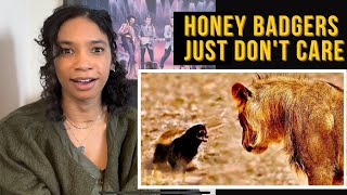 Why Honey Badgers Don't Fear God or Lions (Casual Geographic Reaction)