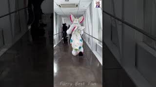 BEST Furry TikToks compilation 0728 #shorts #furrytiktok #furry  #funnyvideo  #youtube   #furries