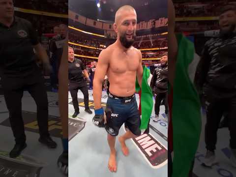 ХАМЗАТ ЧЕМПИОН 🤩🐺 / #ufc #2025 #mma #sports #youtubeshorts #new #fighting #shorts