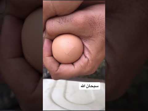 فيديو: كيف تحافظ الزجاجة على البيض؟