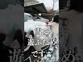 ワクワク？雪の日の朝の過ごし方♫鹿児島より