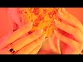 Bristol Farms Chocolate Chip Cookie ASMR