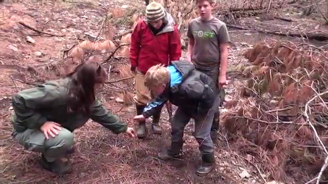 usda soil classification Trout Creek Stream Restoration Project