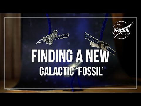 Finding a New Galactic "Fossil"