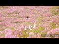 EXO FALL Universe Album EXO FALL Universe Album