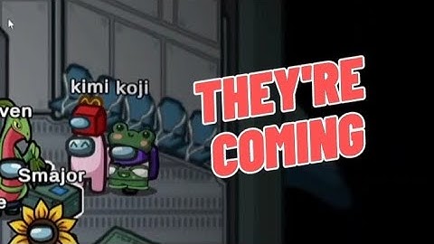 kimi and koji without context