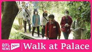 Imperial Palace holds nature walks by Nippon TV News 24 Japan 319 views 2 days ago 59 seconds