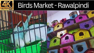 Birds Market College Road - Rawalpindi - Just Fun Vlog 14 Uzma Shaheen Ua